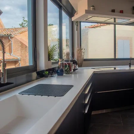 Loft 150 M2 Jacuzzi, Sauna Et Massage Blagnac Exterior photo