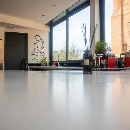 Loft 150 M2 Jacuzzi, Sauna Et Massage Blagnac Exterior photo